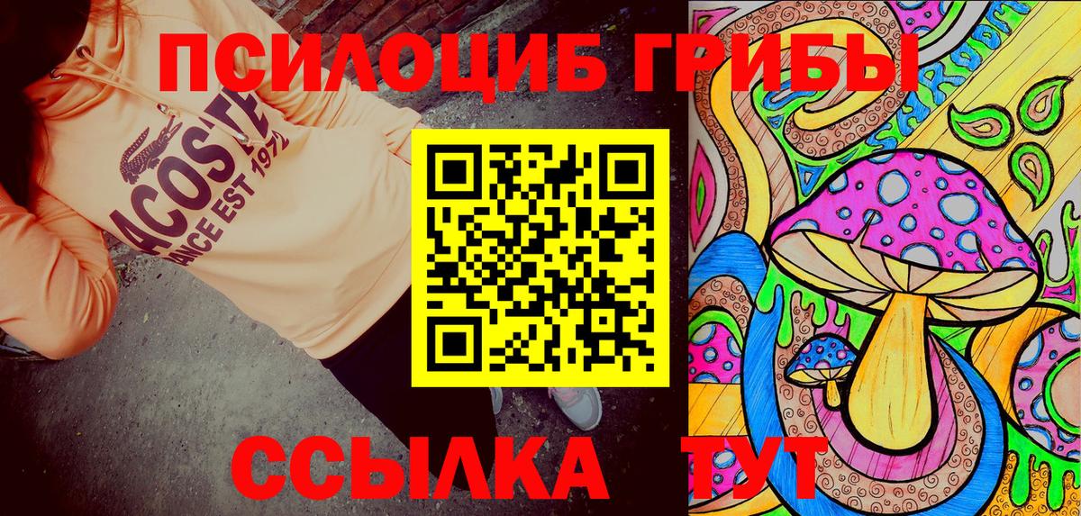 Псилоцибиновые грибы мицелий  магазин продажи наркотиков  Вход с VPN  Красноярск  Галлюциногенные грибы MAGIC MUSHROOMS 