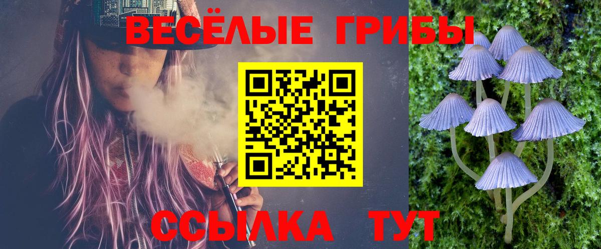 Псилоцибиновые грибы мицелий Красноярск